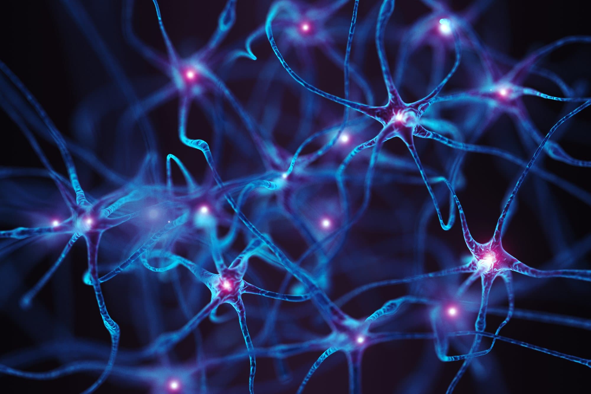 A rendering of a network of neurons, their cell bodies lit against a dark ground