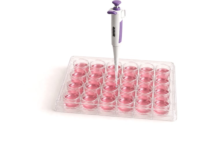 Step 2, add to the culture medium: a single-channel micropipette with a violet plunger held over a 24-well plate of pink medium, its tip in one well.