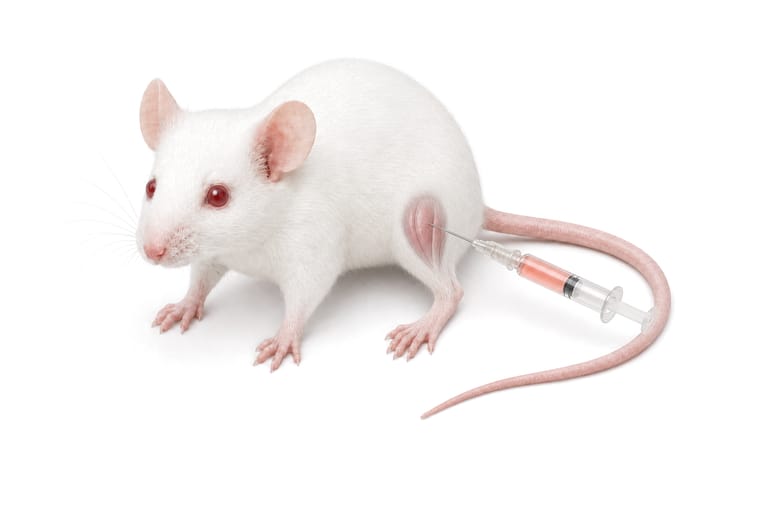Route 4, intramuscular: a white mouse standing in profile, a syringe of pink solution with its fine needle entering the near thigh, the muscle drawn as a shaded bulge under the fur.