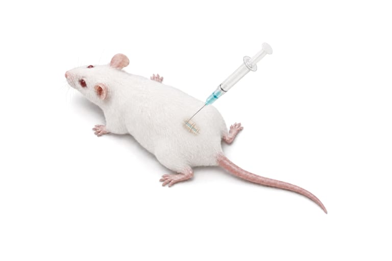 Route 5, intrathecal injection: a white mouse lying prone seen from above, a syringe of blue solution held upright with its fine needle entering the midline of the lower back between the hips, the lumbar vertebrae drawn faintly under the fur.