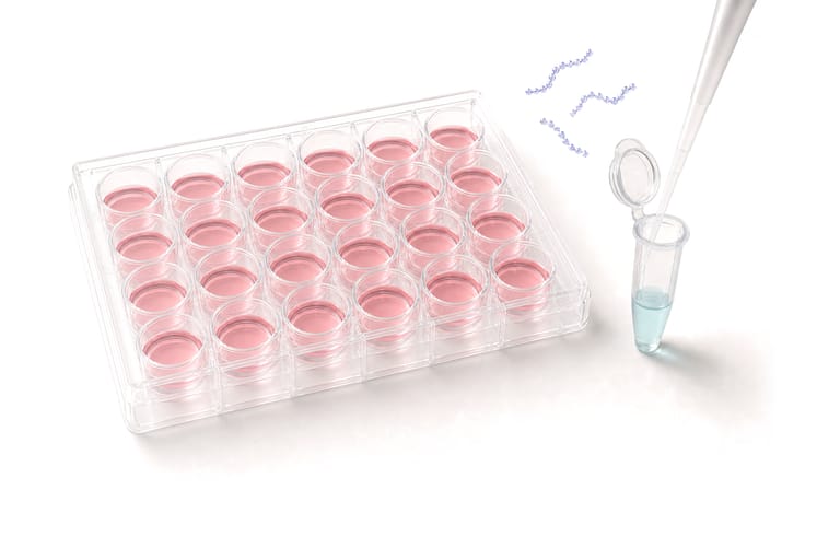 Step 1, prepare cells and the oligonucleotide: a clear 24-well plate of pink medium, a microtube of pale blue solution with its lid open and a pipette tip reaching into its mouth, and three short beaded violet strands drawn in the air above the tube, the slide's motif for the oligonucleotide.