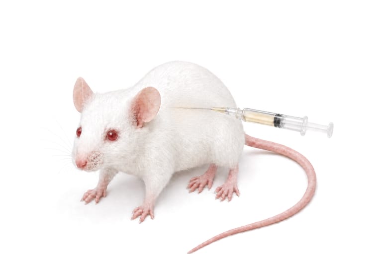Route 3, subcutaneous: a white mouse standing, a syringe of pale yellow solution with its needle under the skin of the flank behind the shoulder, nearly parallel to the back.