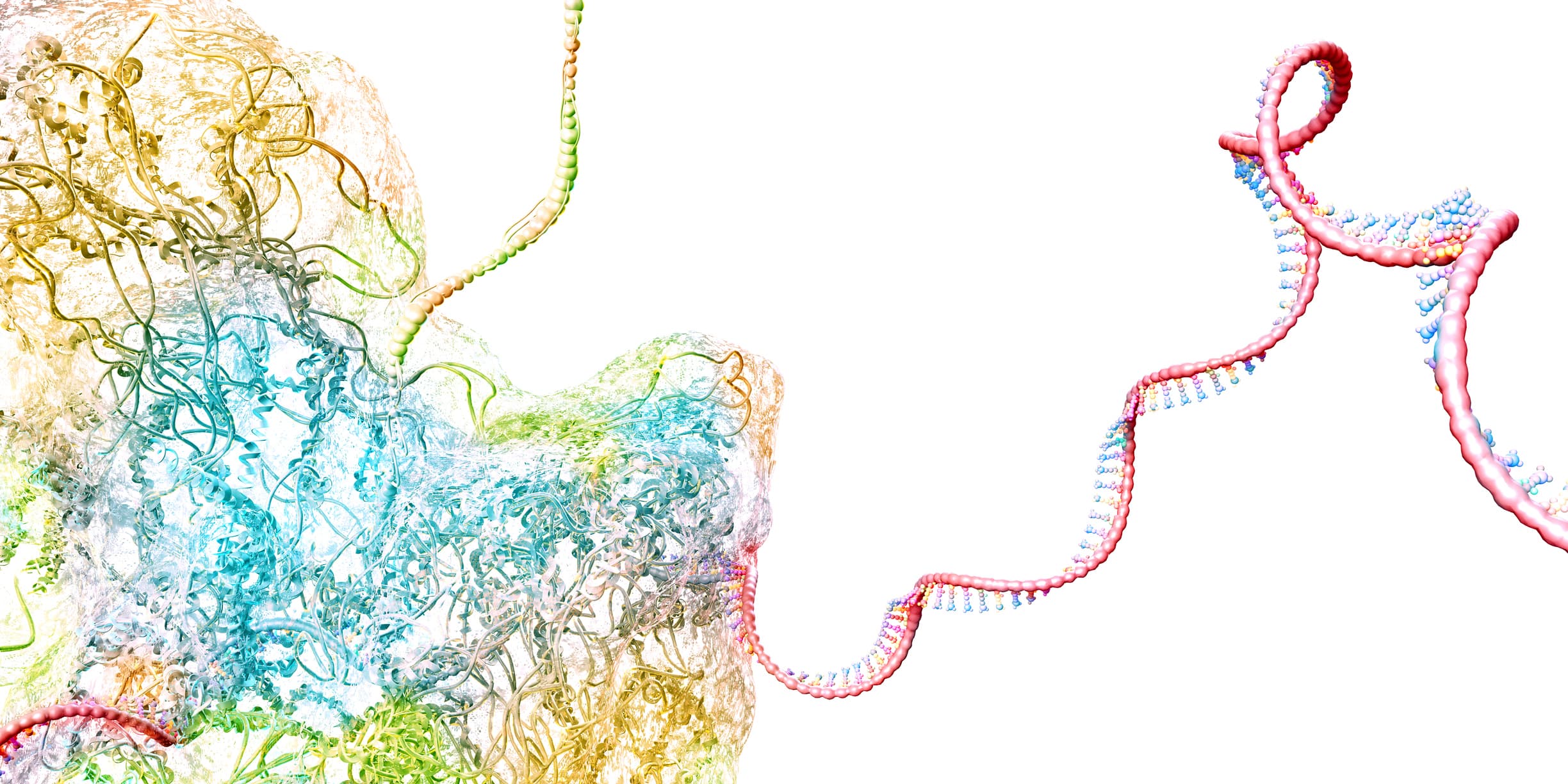 AUM Biotech RNA Technology